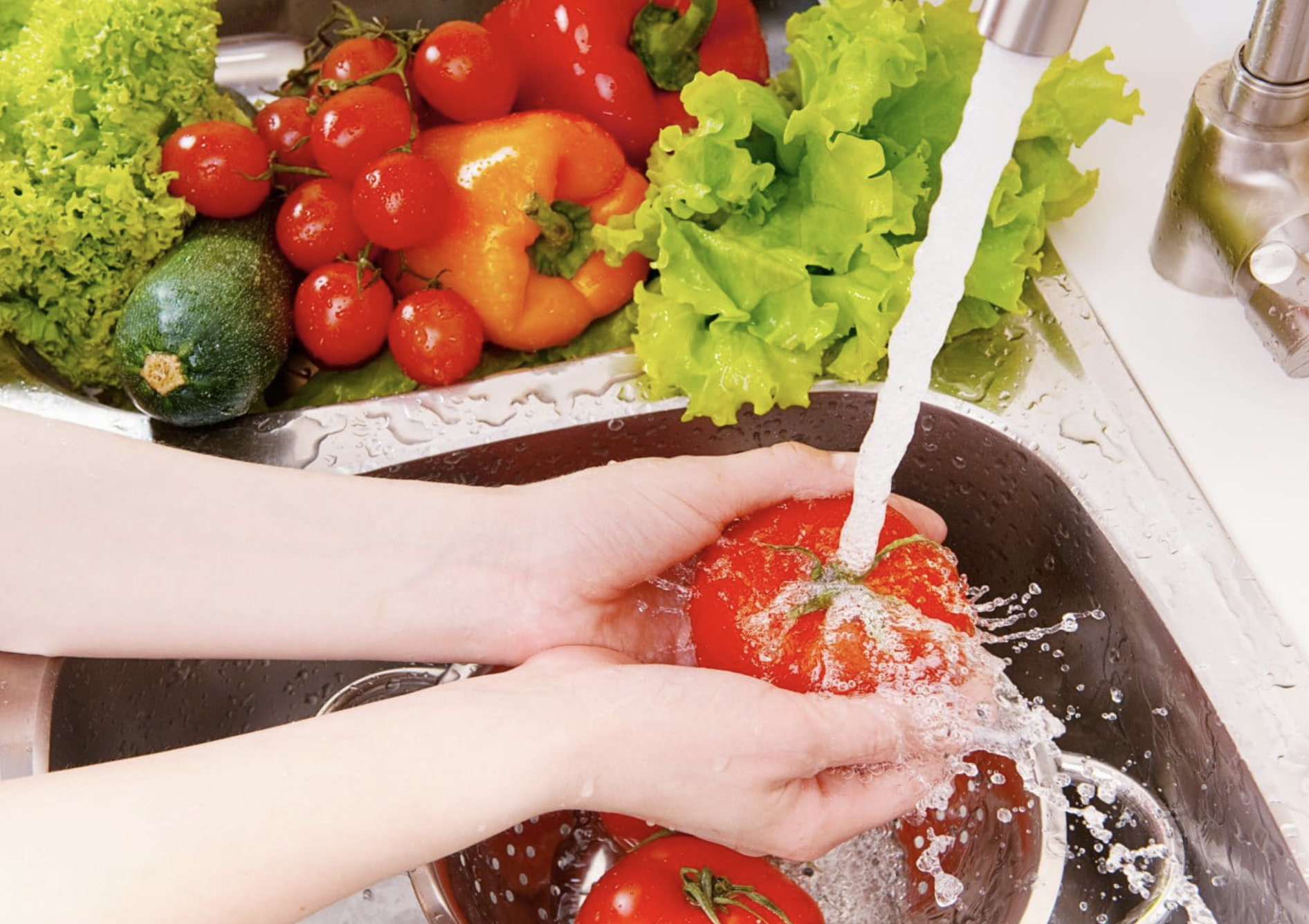 Higiene y Manipulación de Alimentos